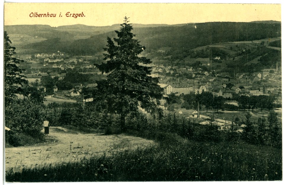 21151-Olbernhau-1919-Blick auf Olbernhau-Brück & Sohn Kunstverlag