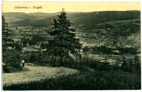21151-Olbernhau-1919-Blick auf Olbernhau-Brück & Sohn Kunstverlag