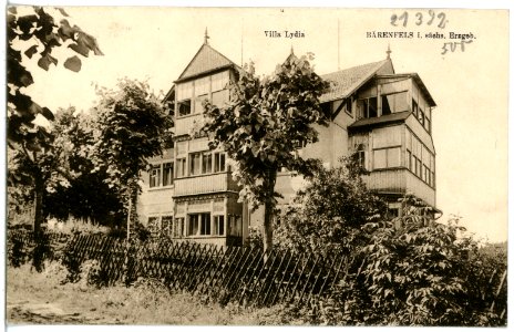 21392-Bärenfels-1919-Villa Lydia-Brück & Sohn Kunstverlag