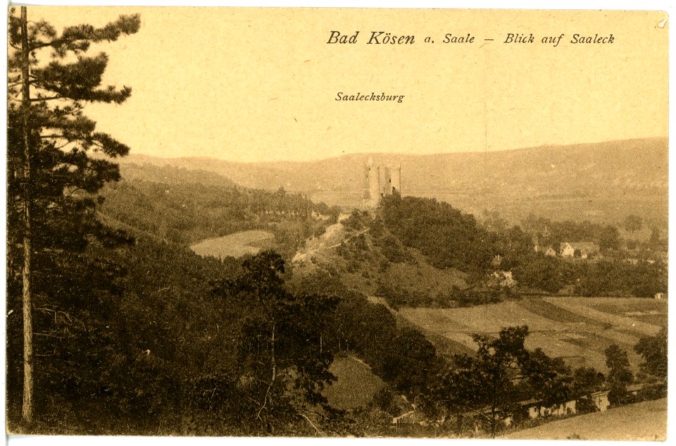 20980-Bad Kösen-1918-Blick auf Saaleck-Brück & Sohn Kunstverlag