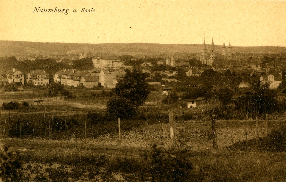 20967-Naumburg-1918-Blick auf Naumburg-Brück & Sohn Kunstverlag