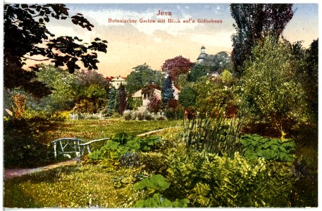 21223-Jena-1919-Botanischer Garten-Brück & Sohn Kunstverlag