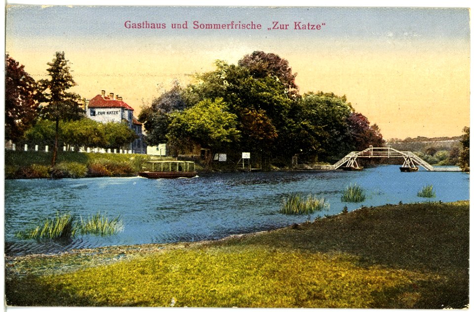 21204-Bad Kösen-1919-Hotel zur Katze-Brück & Sohn Kunstverlag