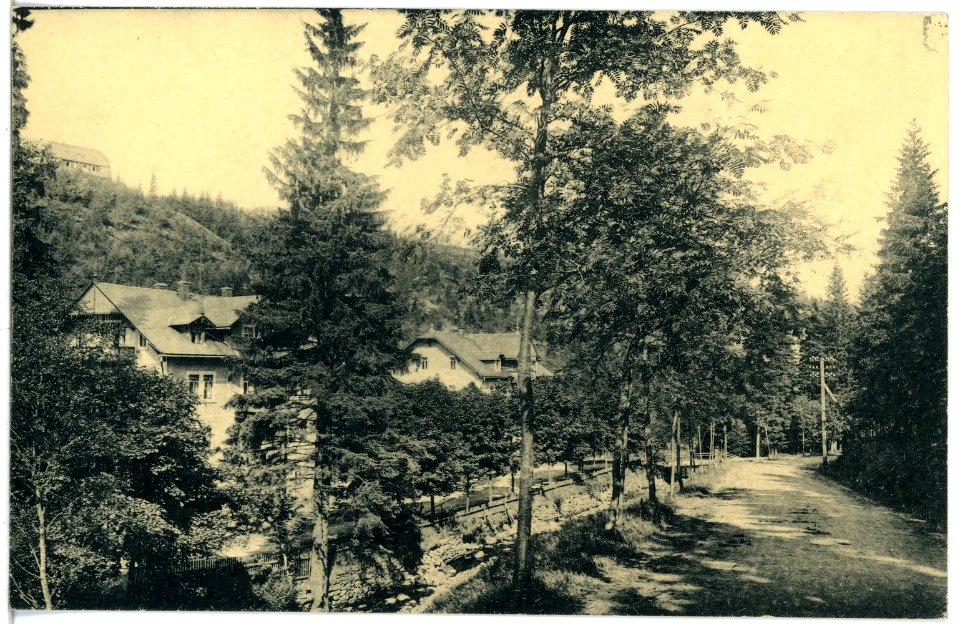 21174-Schellerhau-1919-Schellermühle-Brück & Sohn Kunstverlag