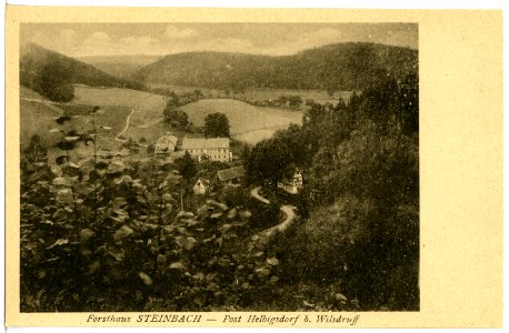 21042-Steinbach (Reinsberg)-1918-Forsthaus-Brück & Sohn Kunstverlag