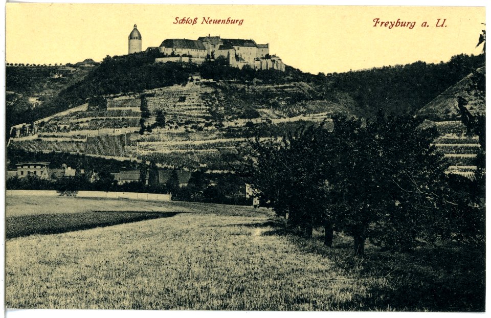 21199-Freyburg - Unstr.-1919-Schloß Neuenburg-Brück & Sohn Kunstverlag