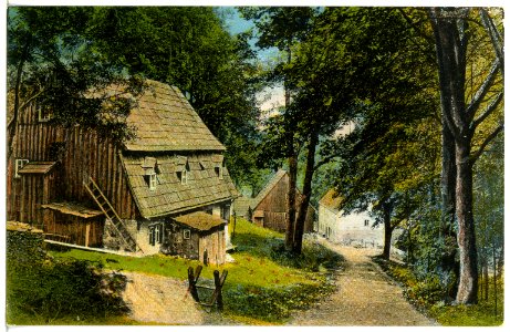 21132-Neuhausen-1919-am Walde bei Schloß Purschenstein-Brück & Sohn Kunstverlag
