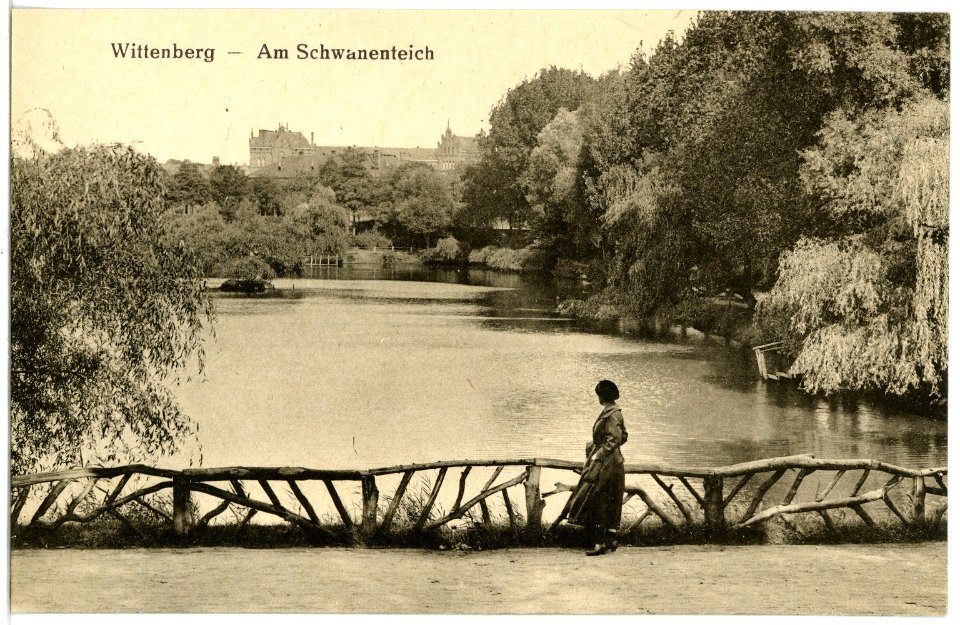 20698-Wittenberg-1917-Am Schwanenteich-Brück & Sohn Kunstverlag