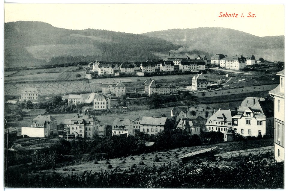 16911-Sebnitz-1913-Blick auf Sebnitz-Brück & Sohn Kunstverlag
