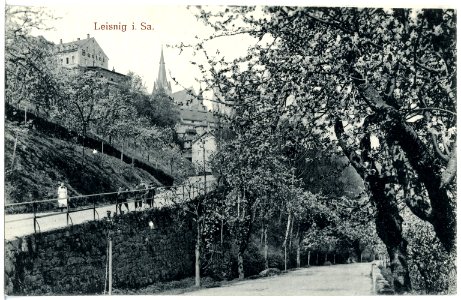 20559-Leisnig-1917-Blick zur Bastei - Baumblut-Brück & Sohn Kunstverlag