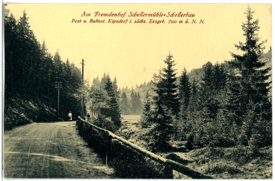 21175-Schellerhau-1919-Am Fremdenhof Schellermühle-Brück & Sohn Kunstverlag