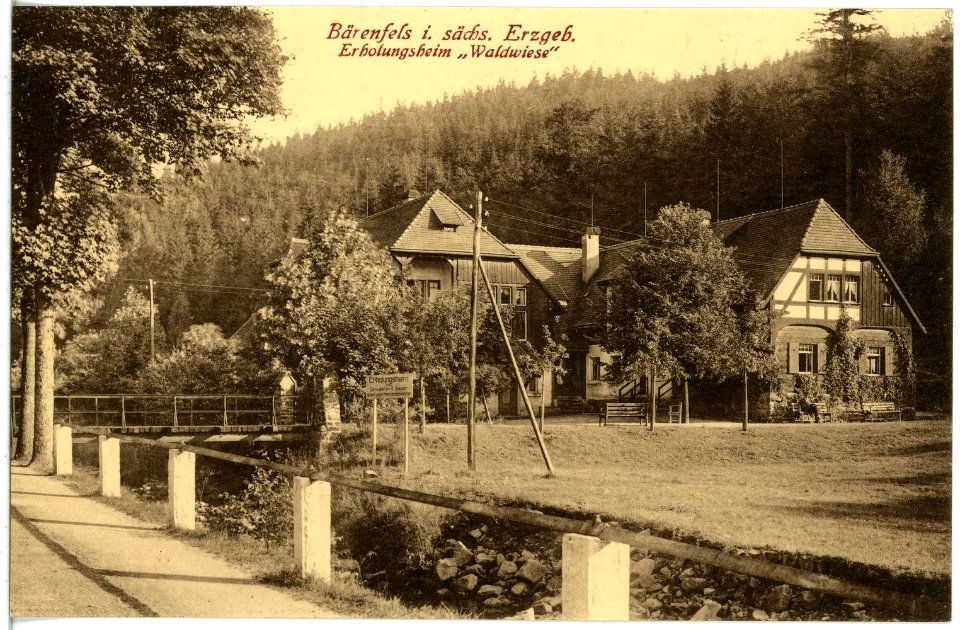 21395-Bärenfels-1919-Erholungsheim Waldwiese-Brück & Sohn Kunstverlag