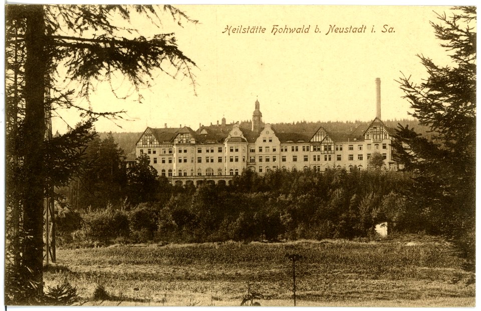 16870-Neustadt-1913-Heilstätte Hohwald-Brück & Sohn Kunstverlag