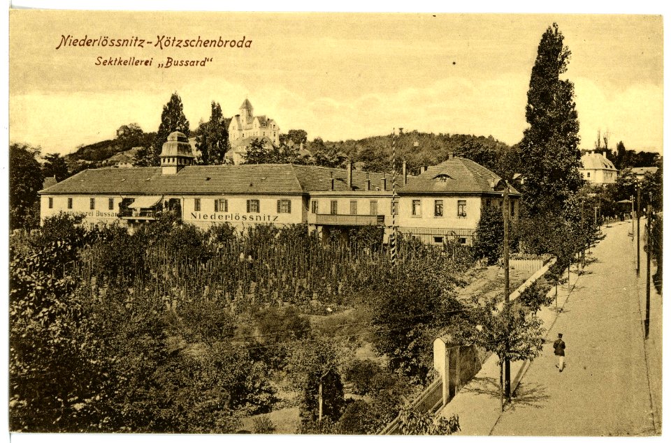 16949-Radebeul-1913-Sektkellerei Bussard-Brück & Sohn Kunstverlag
