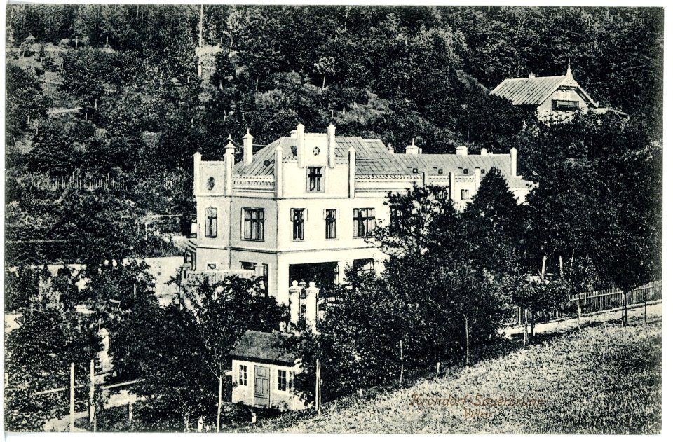 16897-Krondorf-1913-Sauerbrunn - Villen-Brück & Sohn Kunstverlag