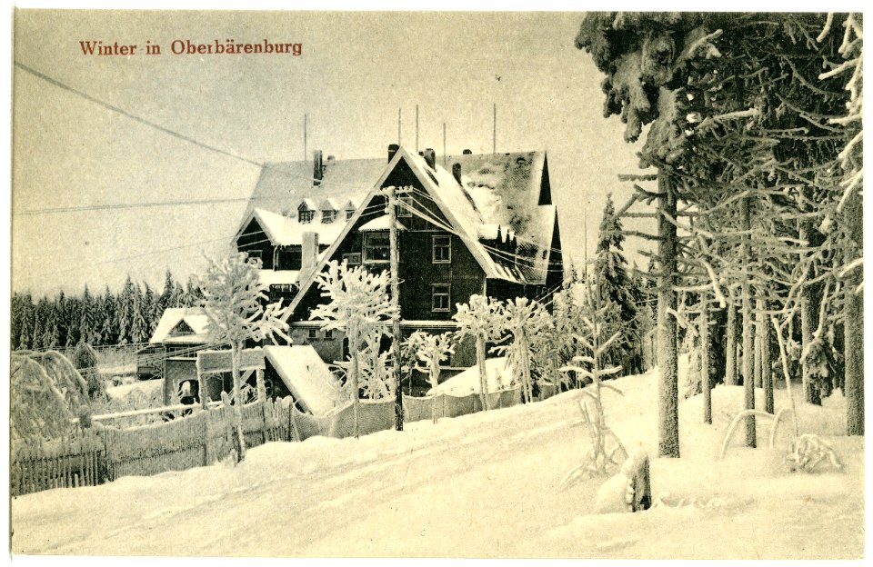 21386-Oberbärenburg-1919-Winter in Oberbärenburg, Berghotel Friedrichshöhe-Brück & Sohn Kunstverlag