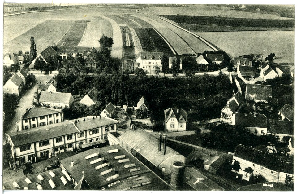 20539-Trebsen-1917-Blick auf Trebsen von der Wiede`schen Esse-Brück & Sohn Kunstverlag