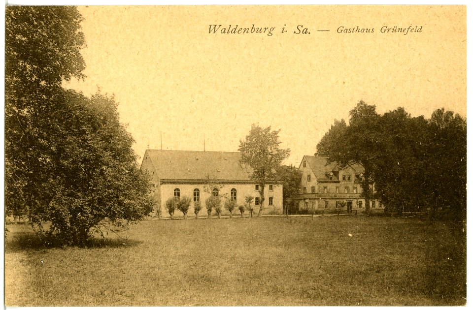 21351-Waldenburg-1919-Gasthaus Grünefeld-Brück & Sohn Kunstverlag