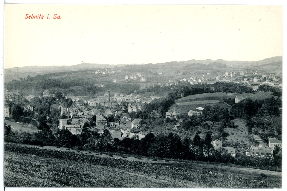 16914-Sebnitz-1913-Blick auf Sebnitz-Brück & Sohn Kunstverlag