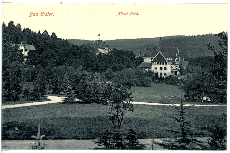 16849-Bad Elster-1913-Albertpark-Brück & Sohn Kunstverlag