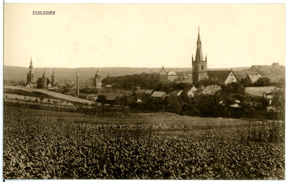 21372-Eisleben-1919-Blick auf Eisleben-Brück & Sohn Kunstverlag