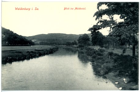 16540-Waldenburg-1913-Muldental-Brück & Sohn Kunstverlag