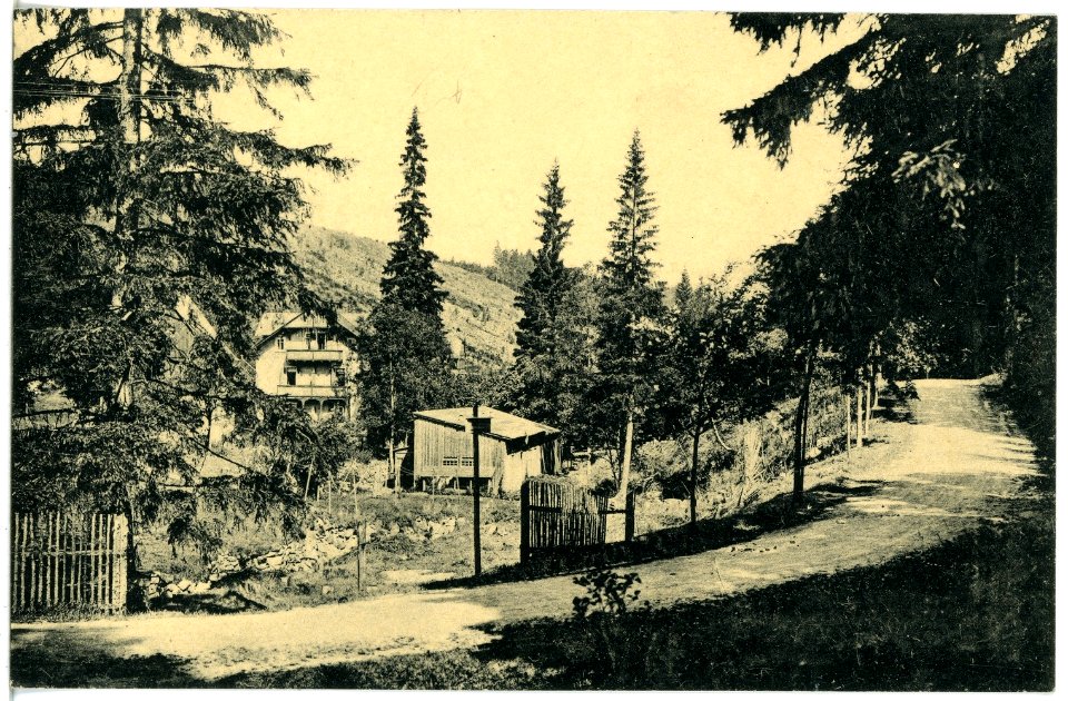 21179-Schellerhau-1919-Schellermühle-Brück & Sohn Kunstverlag