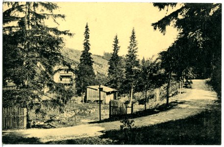21179-Schellerhau-1919-Schellermühle-Brück & Sohn Kunstverlag