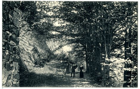 16831-Stolpen-1913-Partie im Stadtpark-Brück & Sohn Kunstverlag