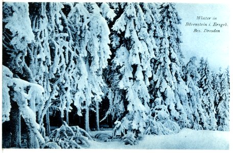 21355-Oberbärenburg-1919-im Winter-Brück & Sohn Kunstverlag