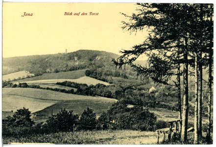 21254-Jena-1919-Blick auf den Forst-Brück & Sohn Kunstverlag
