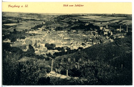21201-Freyburg - Unstr.-1919-Blick vom Schlüfter auf Freyburg-Brück & Sohn Kunstverlag