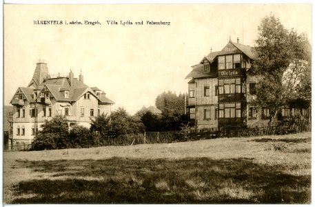 21393-Bärenfels-1919-Villa Lydia und Felsenburg-Brück & Sohn Kunstverlag