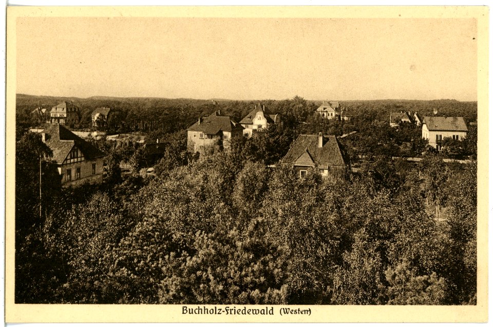 21398-Buchholz-Friedewald-1919-Blick auf Buchholz-Friedewald-Brück & Sohn Kunstverlag