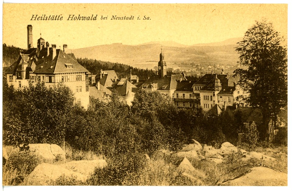 16872-Neustadt-1913-Heilstätte Hohwald-Brück & Sohn Kunstverlag