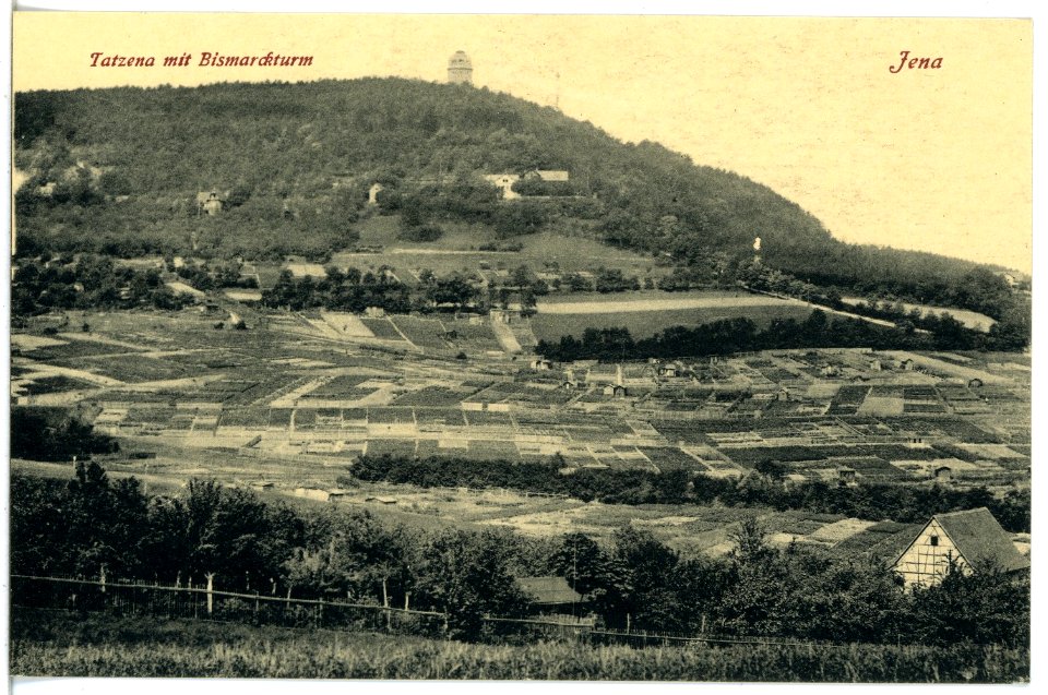 21250-Jena-1919-Tatzena mit Bismarckturm-Brück & Sohn Kunstverlag