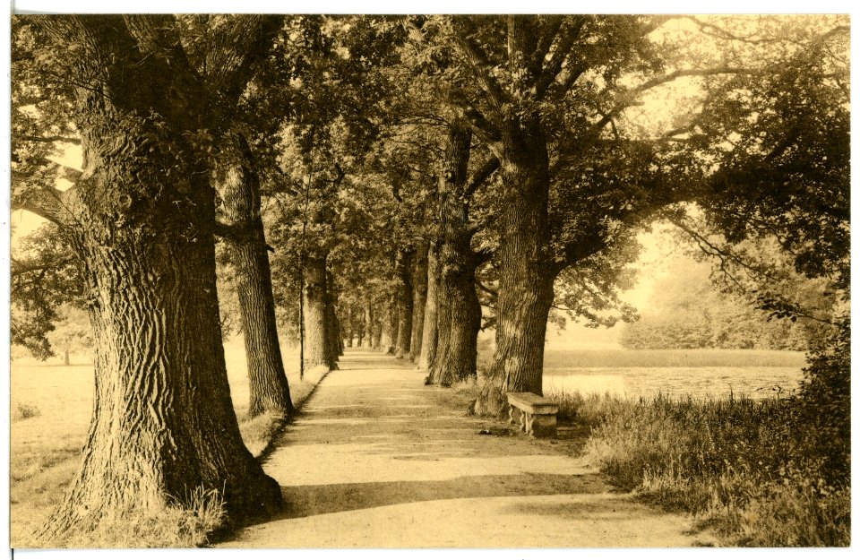 21353-Waldenburg-1919-Park Grünfeld-Brück & Sohn Kunstverlag