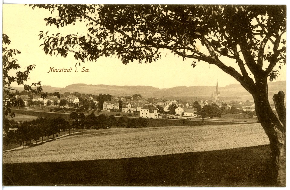 16942-Neustadt-1913-Blick auf Neustadt-Brück & Sohn Kunstverlag