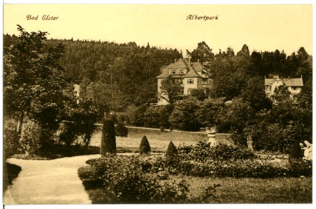 16902-Bad Elster-1913-Albertpark-Brück & Sohn Kunstverlag