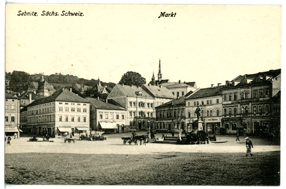 16980-Sebnitz-1913-Markt-Brück & Sohn Kunstverlag