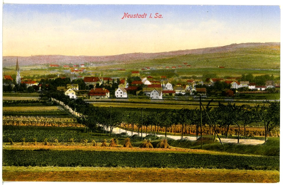 16861-Neustadt-1913-Blick auf Neustadt-Brück & Sohn Kunstverlag