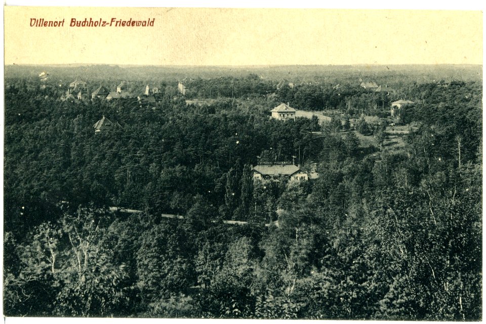 21397-Buchholz-Friedewald-1919-Blick auf Buchholz-Friedewald-Brück & Sohn Kunstverlag
