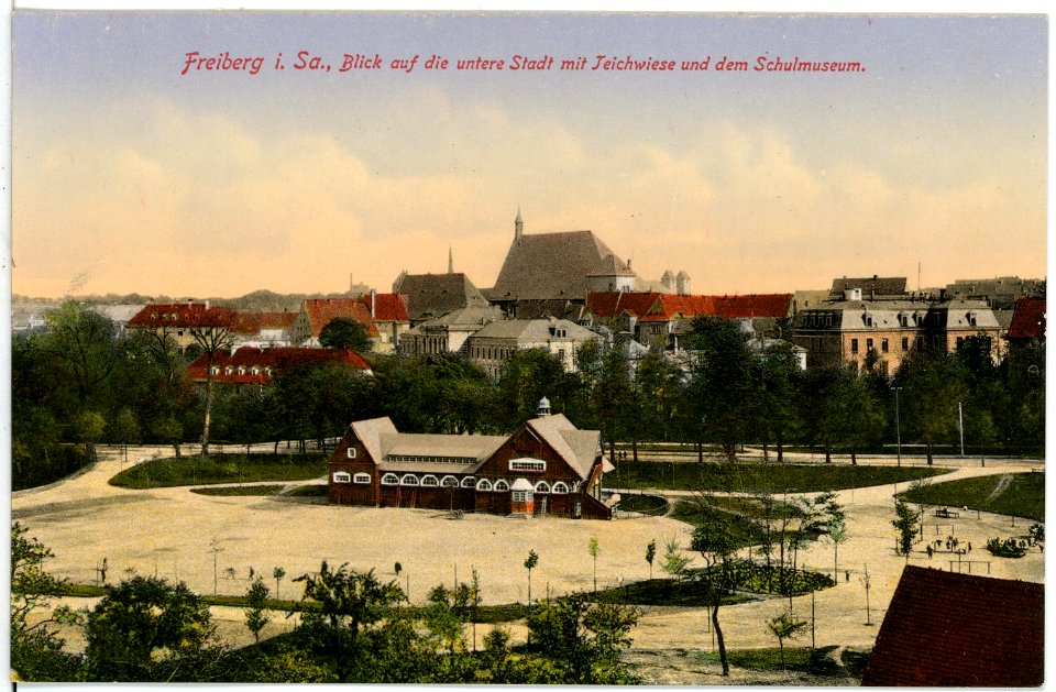 16531-Freiberg-1913-untere Stadt mit Teichwiese und Schulmuseum-Brück & Sohn Kunstverlag