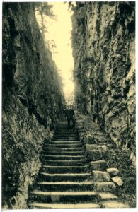 21321-Jonsdorf-1919-Felsengasse im Nonnenfelsen-Brück & Sohn Kunstverlag
