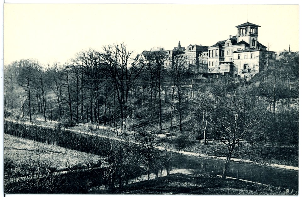 16715-Chemnitz-1913-Partie im vorderen Stadtpark-Brück & Sohn Kunstverlag