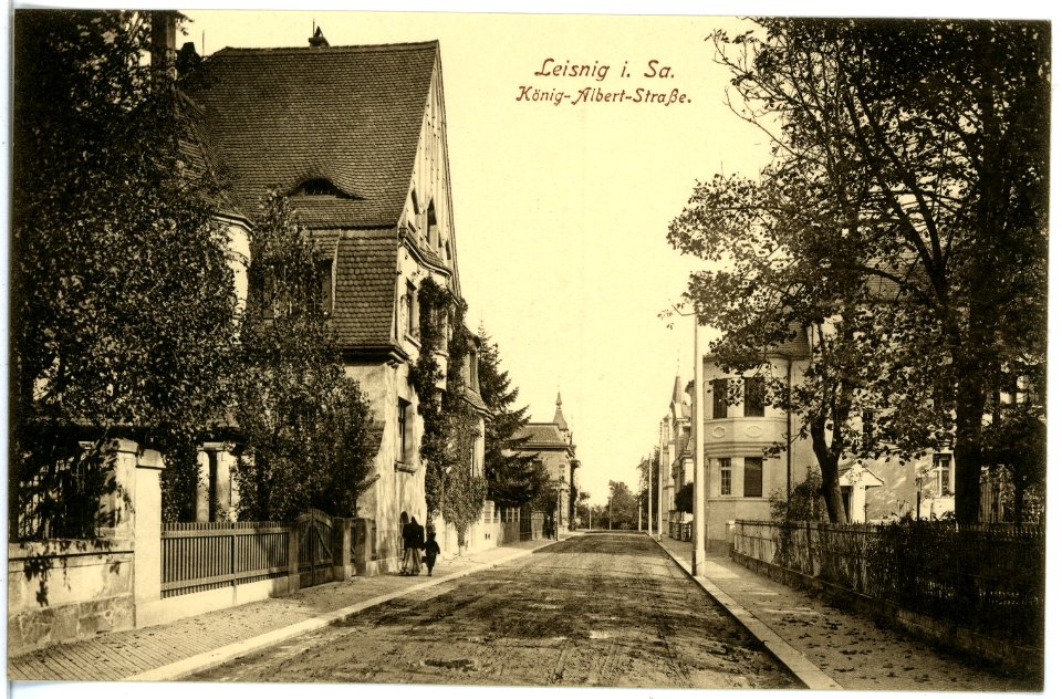 17245-Leisnig-1913-König-Albert-Straße-Brück & Sohn Kunstverlag