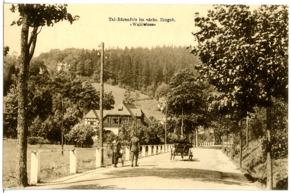 21394-Bärenfels-1919-Erholungsheim Waldwiese, Tal-Bärenfels-Brück & Sohn Kunstverlag