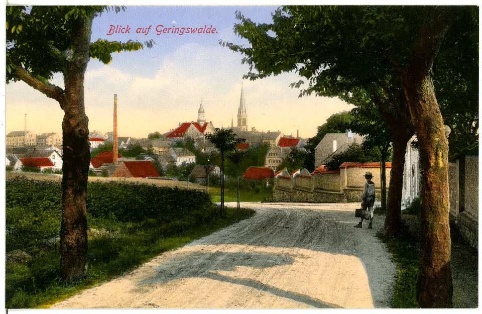 16784-Geringswalde-1913-Blick auf Geringswalde aus Waldstraße-Brück & Sohn Kunstverlag