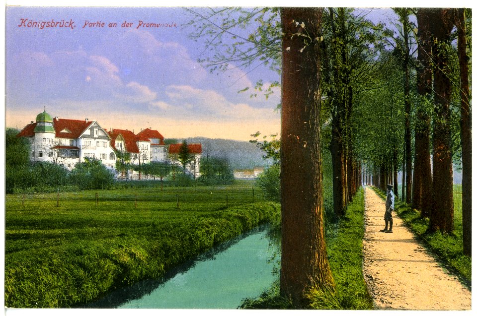 17397-Königsbrück-1914-Promenade-Brück & Sohn Kunstverlag