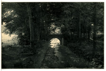 16499-Groß-Schweidnitz-1913-Park-Brück & Sohn Kunstverlag